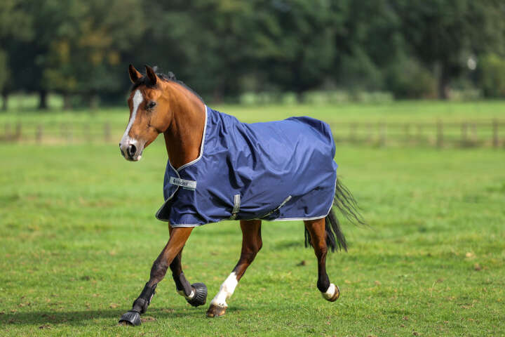 bucas Outdoordecke Freedom Turnout 300 g